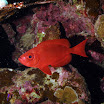 PB211725-1.JPG