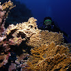 PB211743.JPG