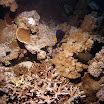 PB211735.JPG