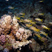 PB211744-1.JPG