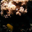 PB211750.JPG