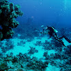 PB201472-1.JPG