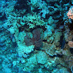 PB201480-1.JPG