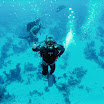 PB201483-1.JPG