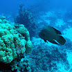 PB201487-1.JPG
