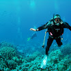 PB201531-1.JPG