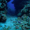 PB201546-1.JPG