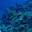 PB201553-1.JPG