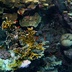 PB201555-1.JPG