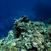 PB201558-1.JPG