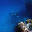 PB201579-1.JPG