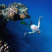 PB201584-1.JPG