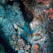 PB201587-1.JPG