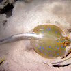 PB201627-1.JPG