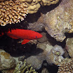 PB201633-1.JPG