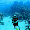 PB211704-1.JPG