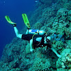 PB211714-1.JPG