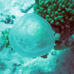 PB242021-1.JPG