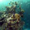 PB242068-1.JPG