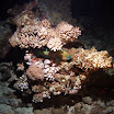 PB211771-h2.jpg