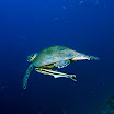 DSC_0479-3.JPG