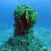 PB221817-1.JPG
