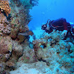 PB221824-1.JPG