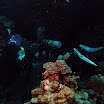 PB221830-1.JPG