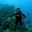 PB221854-1.JPG