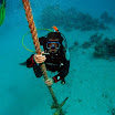 PB221859-1.JPG