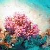 PB221856-1.JPG