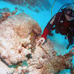 PB221857-1.JPG