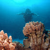 PB221860-1.JPG