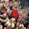 PB221875-1.JPG