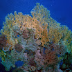PB221882-1.JPG