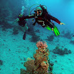 PB231910-1.JPG