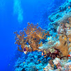 DSC_0302-t.JPG