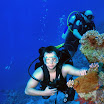 DSC_0317-t.JPG