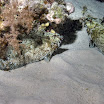 DSC_0570-t.JPG