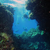 PB201503-t.JPG
