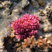PB201573-t.JPG