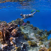 PB201560 -t.JPG