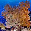 PB201609-t.JPG