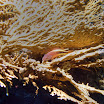 PB201613-t.JPG