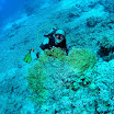 PB211688-t.JPG
