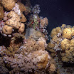 PB211772-t.JPG