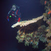 PB211790-t.JPG