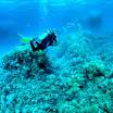 PB221807-t.JPG