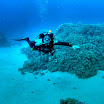 PB221806-t.JPG