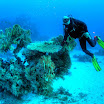 PB231922-t.JPG